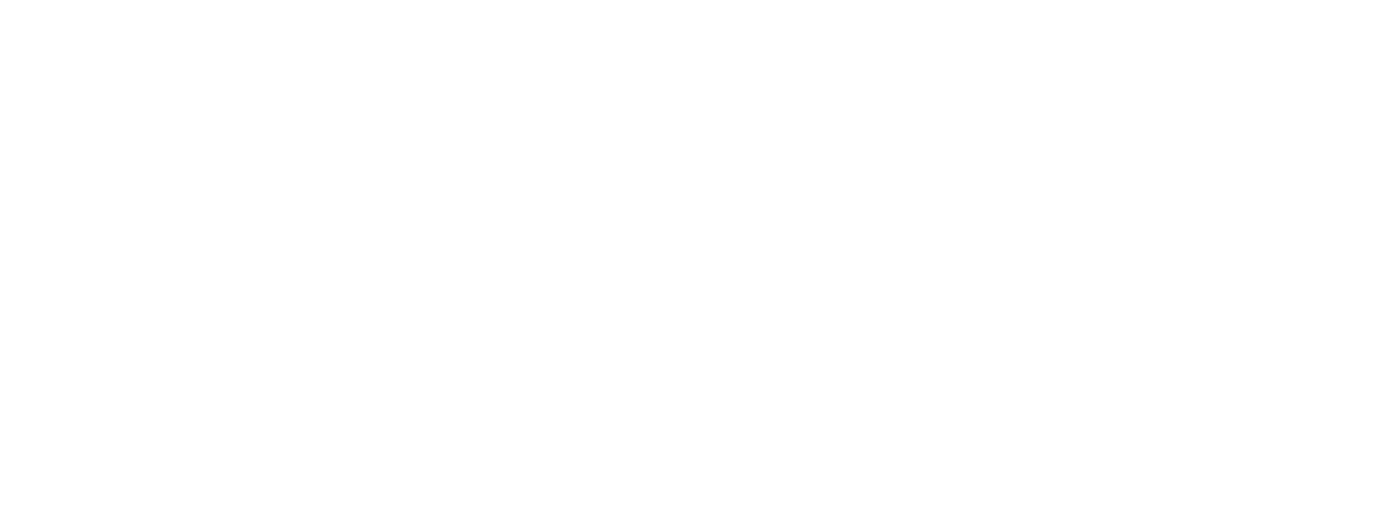 Kalikatoys.com